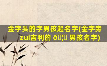 金字头的字男孩起名字(金字旁zui
吉利的 🦊 男孩名字)